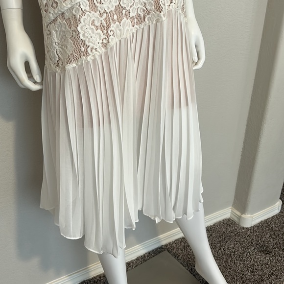 Coast lace detail dress - Picture 3 of 3